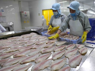 US cuts anti-dumping taxes on Vietnamese catfish products