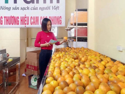 Hoa Binh to promote processing, trade promotion for farm produce