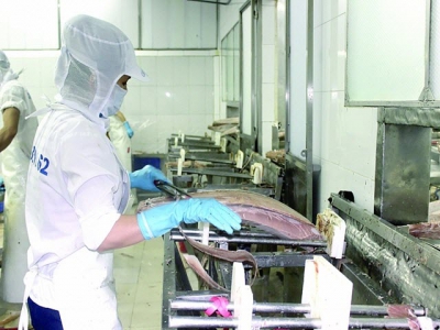 Flexible seafood enterprises increase exports