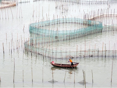 Tiên phong trong nuôi trồng thủy sản tích hợp tại Trung Quốc