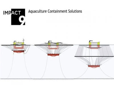 Novel offshore fish farm edges closer to commercial reality