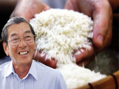 From humble start to worlds best rice