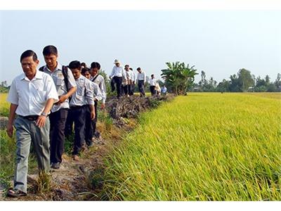 Trăn Trở Cánh Đồng Mẫu Lớn