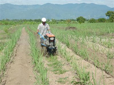 Cơ Giới Hóa Trong Nông Nghiệp Ở Ninh Sơn