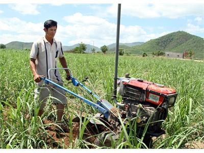 Anh Thành Ứng Dụng Hiệu Quả Máy Làm Cỏ Mía