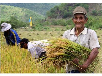 Ông Chamaleá Hái Thoát Nghèo Bền Vững