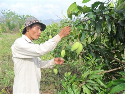 Luôn Đồng Hành Cùng Hội Viên, Nông Dân