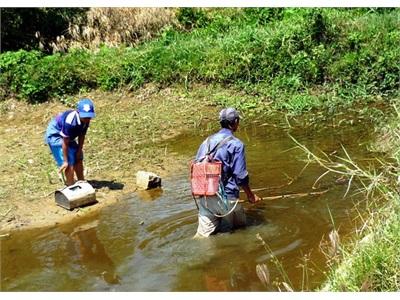 Xử Lý Nghiêm Sử Dụng Chất Nổ, Xung Điện Khai Thác Thủy Sản