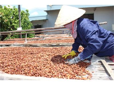 Khủng Hoảng Vùng Nguyên Liệu