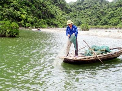 Ông Cửu Nuôi Cua Giữa Phố