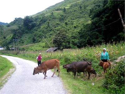 Chuyển Biến Trong Sản Xuất Nông Nghiệp Ở Phan Thanh