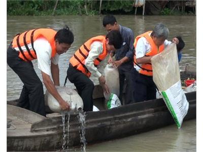 Long An Thả Gần 1000 Kg Cá Xuống Sông Vàm Cỏ Đông