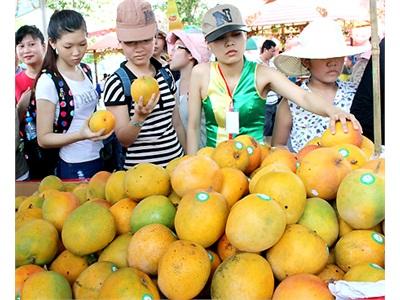 Hàn Quốc Đánh Giá Cao Chất Lượng Trái Cây Đồng Nai