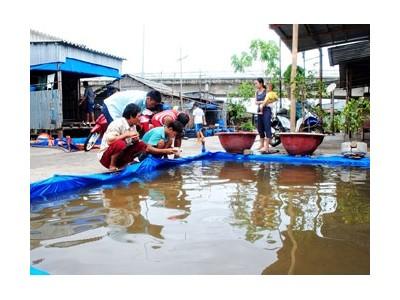 Trở lại bãi vàng nghêu