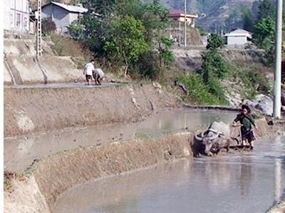 Hoàng Su Phì từng bước cơ giới hóa trong nông nghiệp