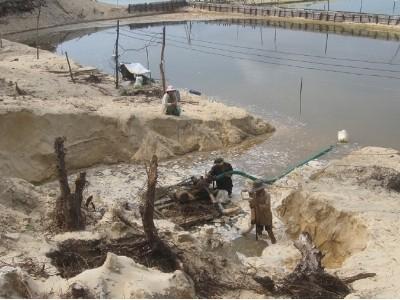 Lấn, chiếm đất để làm hồ nuôi tôm tại các địa phương ven biển: Cần xử lý dứt điểm