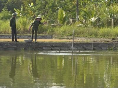 Hộ nuôi trồng thủy sản Tuần Giáo ứng phó mùa mưa lũ