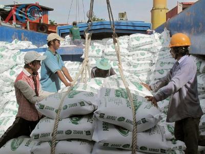 Xây dựng thương hiệu gạo, hướng đến xuất khẩu