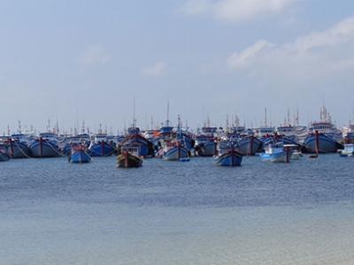 Phú Quý (Bình Thuận) kinh tế biển khởi sắc