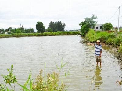 Vươn lên thoát nghèo bằng nghề nuôi cá nước ngọt