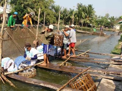 Nông nghiệp lần đầu tăng trưởng âm cá, tôm bơi vào... ngõ cụt!