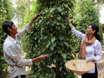 Bà Hồng miệng nói hay, tay làm giỏi