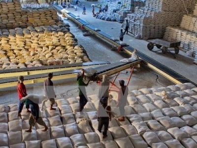 Vietnamese private rice exporters can bid for Philippines shipments