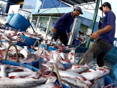Fishery output hits 1.6 million tones in H1