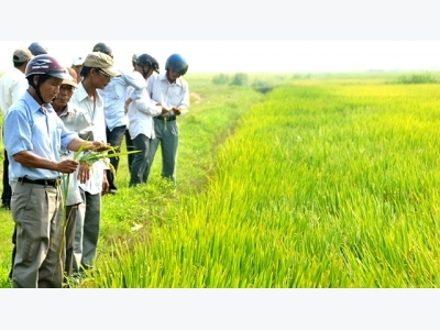 Streamlining credit flows for hi-tech agricultural development