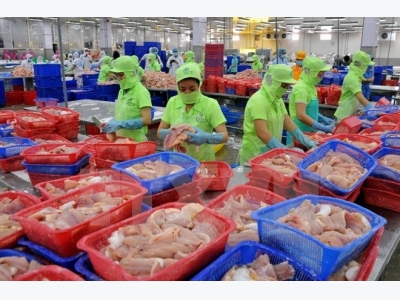 Vietnamese tra fish stranded in US