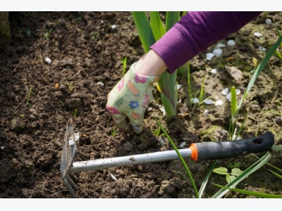 Organic Weed Control