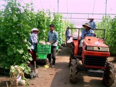 Funds needed for hi-tech agriculture