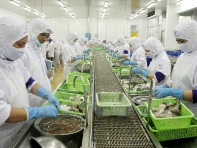 Ca Mau moves to expand shrimp export market