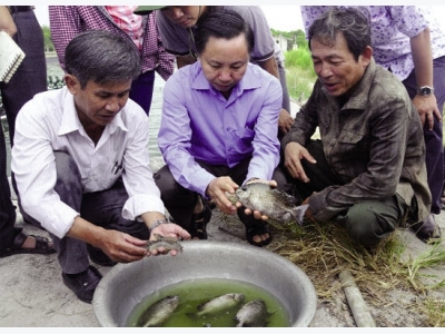 Nuôi trồng thủy sản ở miền Trung: Để hiệu quả mà vẫn bền vững