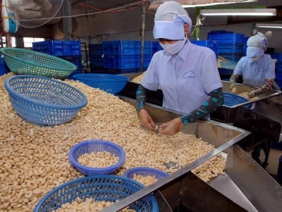 Cashew firms asked to make up output fall with product quality
