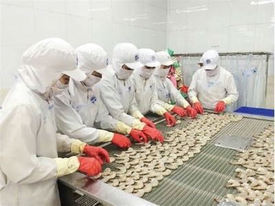 Vietnam targets 10 billion USD in shrimp exports by 2025