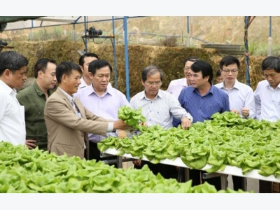 Deputy PM Hue commends agricultural cooperatives in Lam Dong