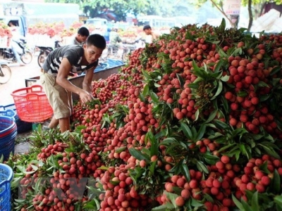 Vietnams fruit, veggie exports exceed 2 billion USD in H1