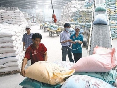 Vietnams rice exports surge 42% in first half of 2018
