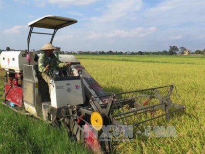 Thai Binhs agricultural economy boosted