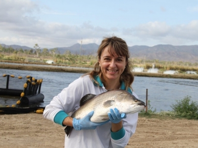 Predicting parasite outbreaks in fish farms through environmental DNA