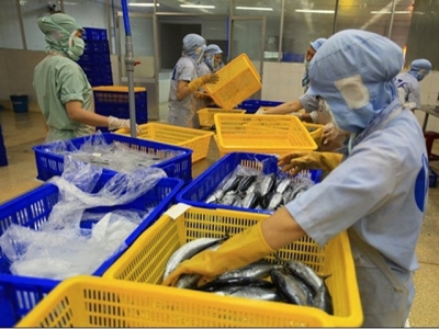 Prospects bright for seafood exports to ASEAN