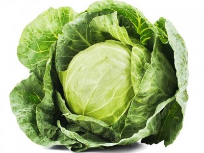 Choosing the right cabbage variety