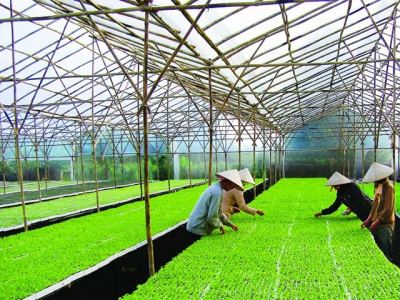 Hanoi urges investment in citys farming to meet food demand