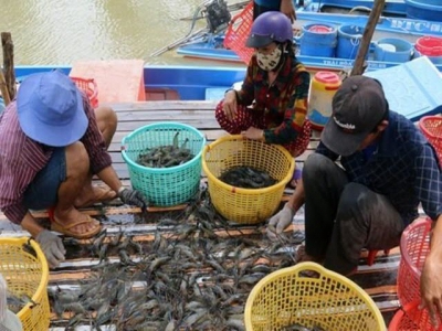 Aquatic product exports decrease in five months