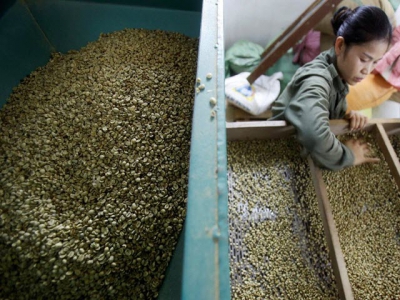 Vietnams Jan-May coffee exports to fall 13.1% y/y - govt data