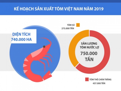 Bàn chuyện giảm giá thành nuôi tôm