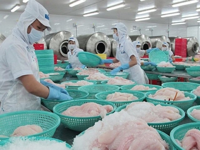Opportunity to export pangasius to 10 countries under CPTPP