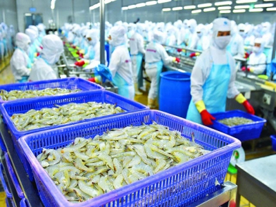 Chinas growing hunger for Vietnamese seafood