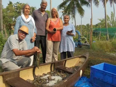 Hồi sinh ngành tôm sú tại Kerala Ấn Độ